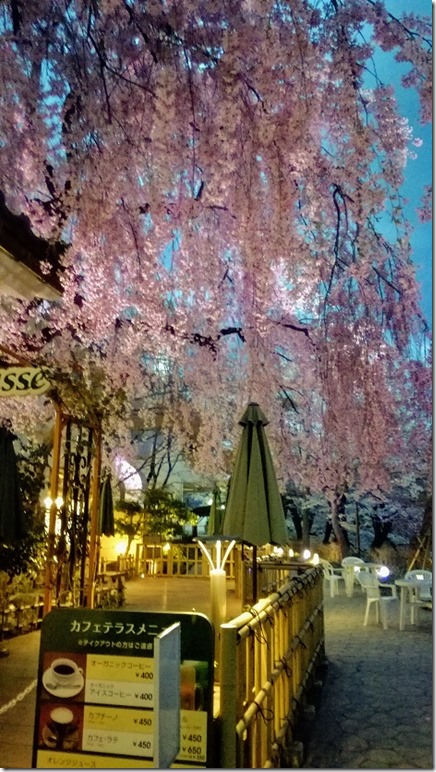 鶴ヶ城のライトアップ画像