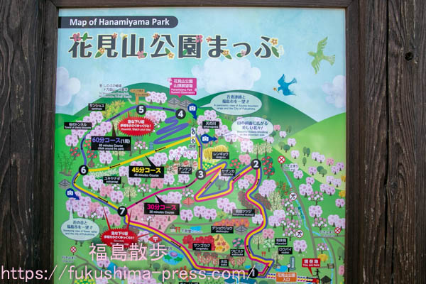 福島の花見山！桜の撮影スポット3選の画像